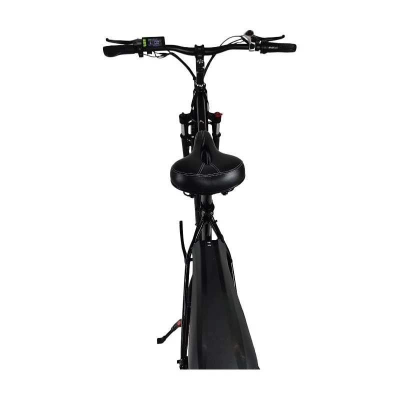 26 Inch Electric Bike
