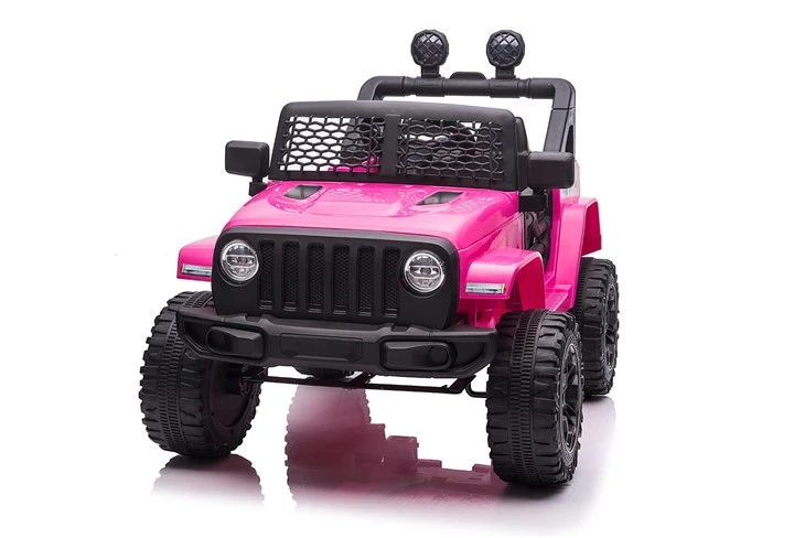 Childrens Ride In Cars