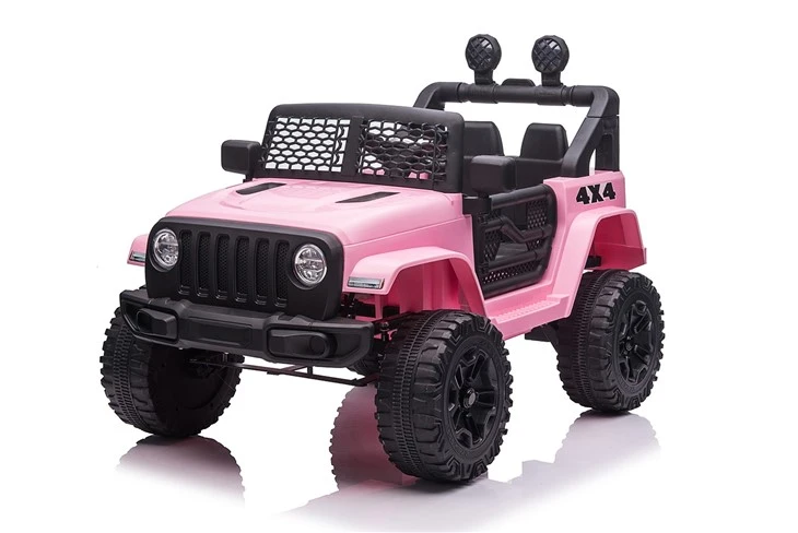 Childrens Ride In Cars
