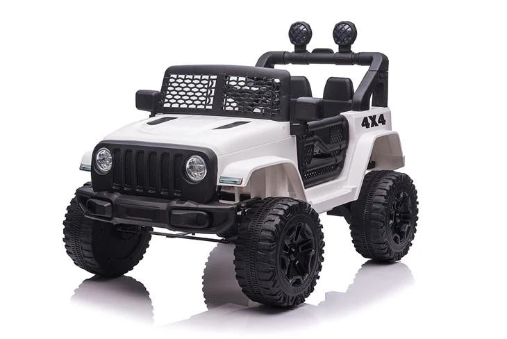 Childrens Ride In Cars