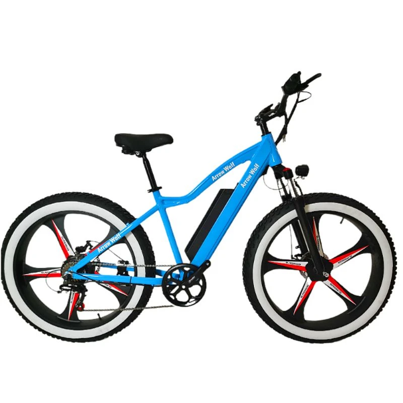 Fat Tire Electric Mountain