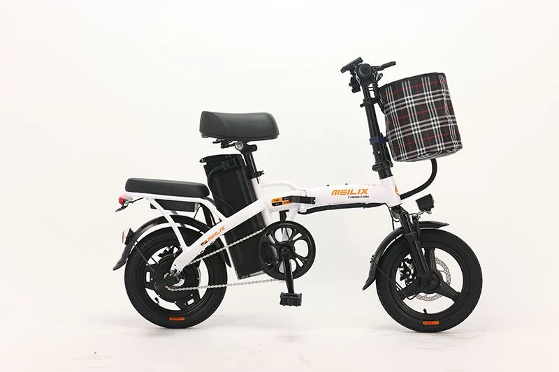 Folding Electric Bike
