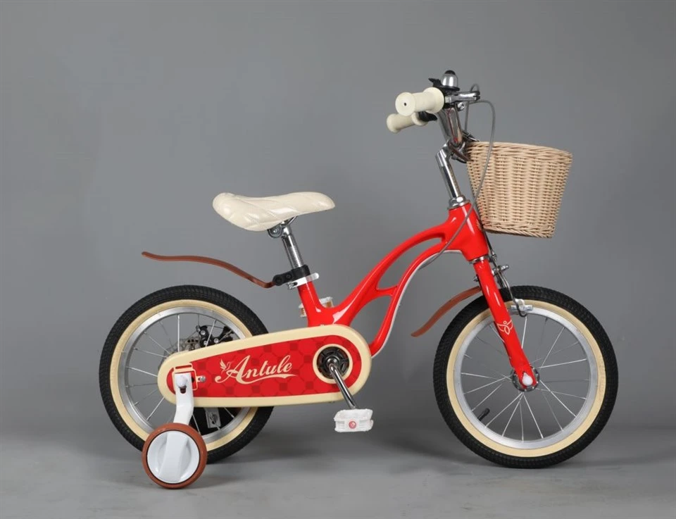 Girl Kids Bike