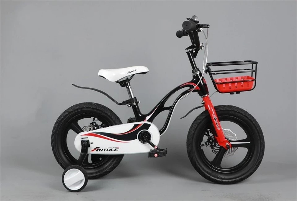 Magnesium Alloy Frame Bicycle