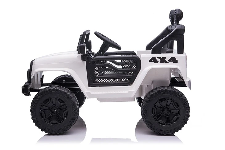 Remote Controlled Ride On Car