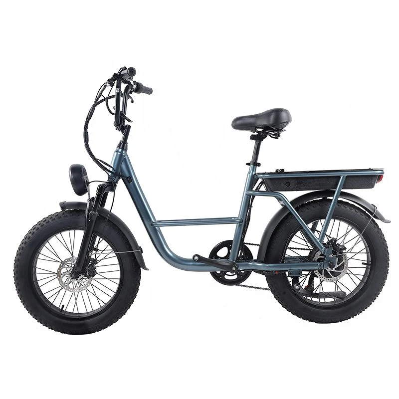 Road Fat Tire Electric Bike