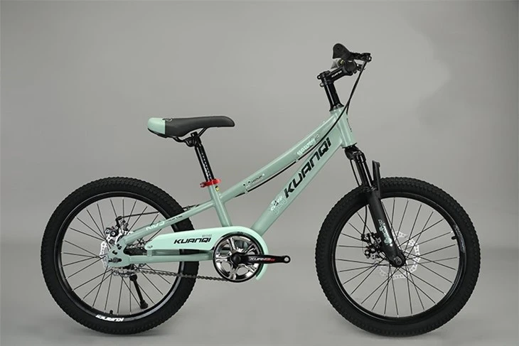 20 Inch Bicycle