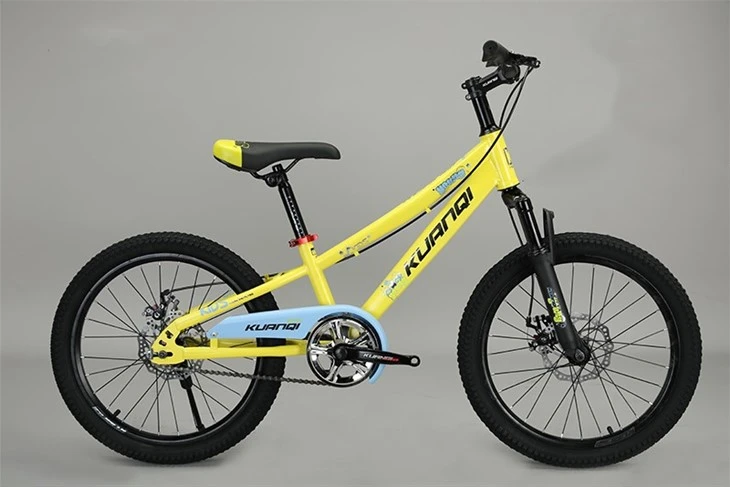 20 Inch Bicycle