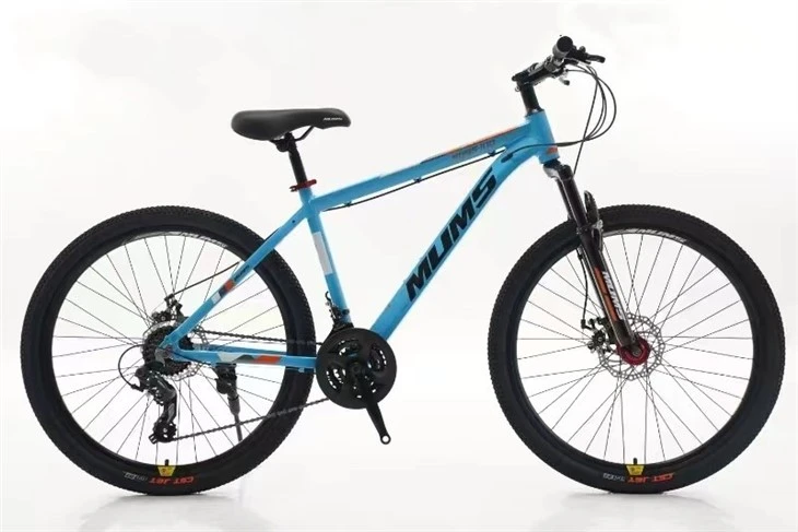Beginner Mountain Bike