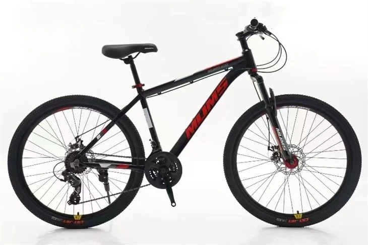 Beginner Mountain Bike