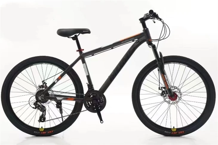 Beginner Mountain Bike