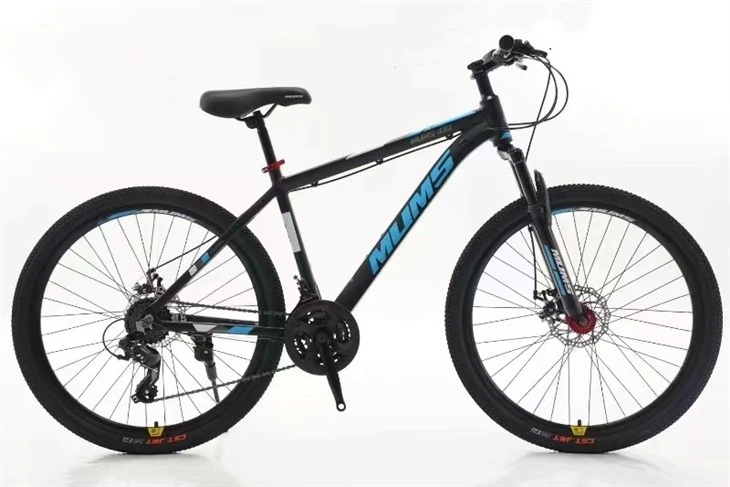 Beginner Mountain Bike