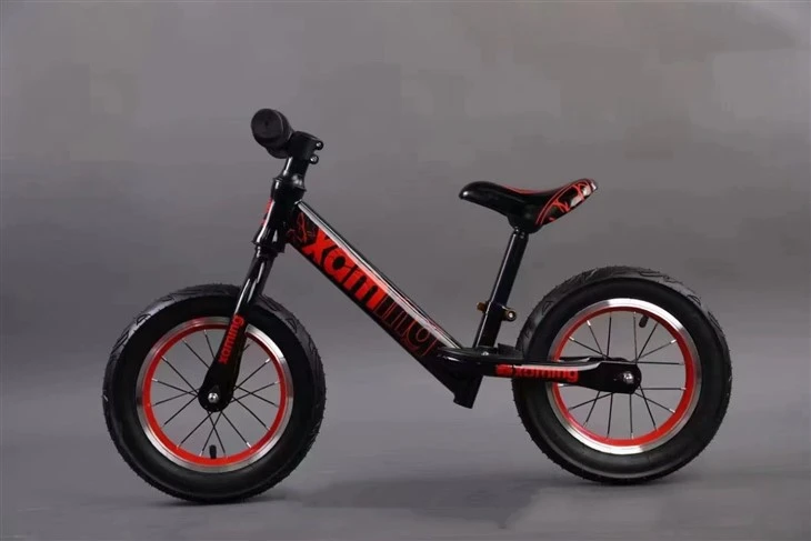 Bicycle Without Pedals