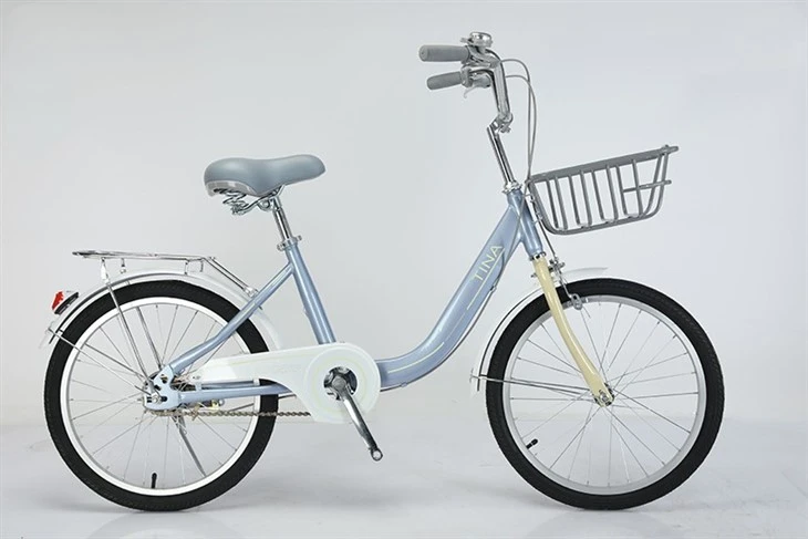 Durable High Carbon Steel Girls Bicycle