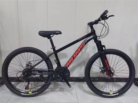 Hard Tail Mountain Bike
