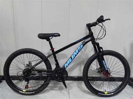 Hard Tail Mountain Bike