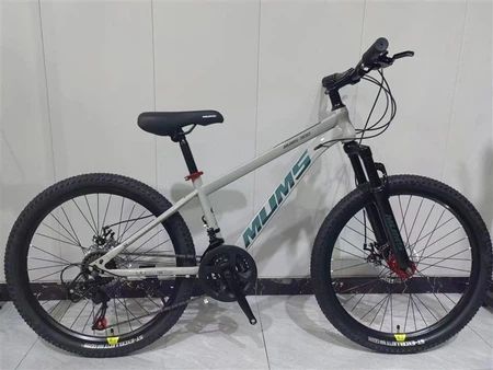Hard Tail Mountain Bike