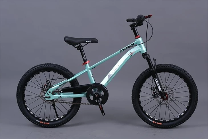 Junior Mountain Bike