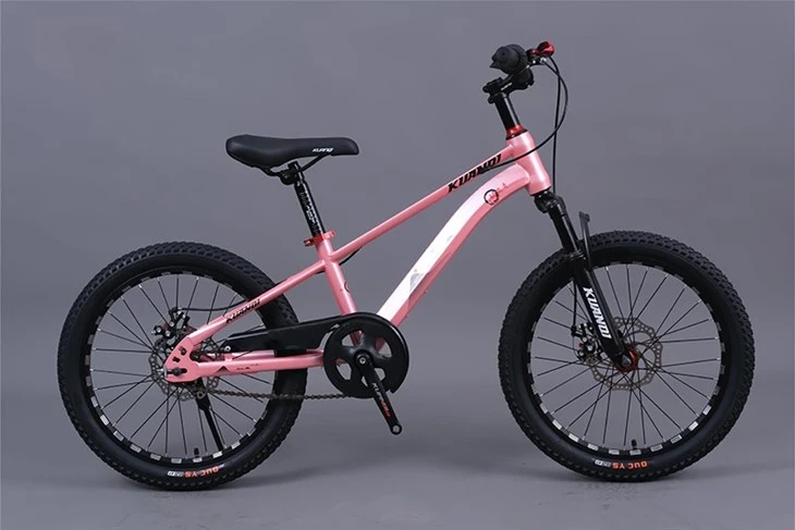 Junior Mountain Bike
