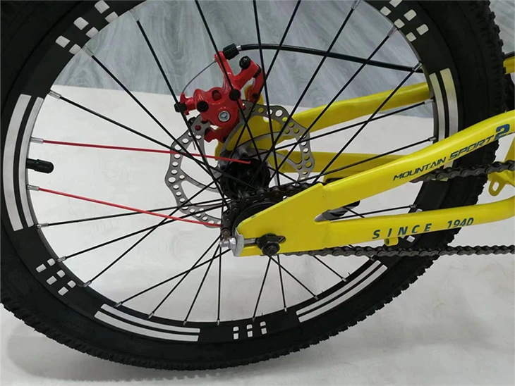 Kids Bicycle 18 Inch Children Bike