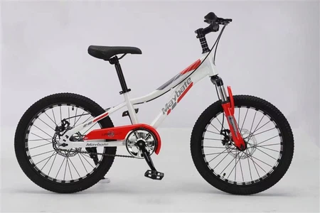 Lightweight Kids Bike