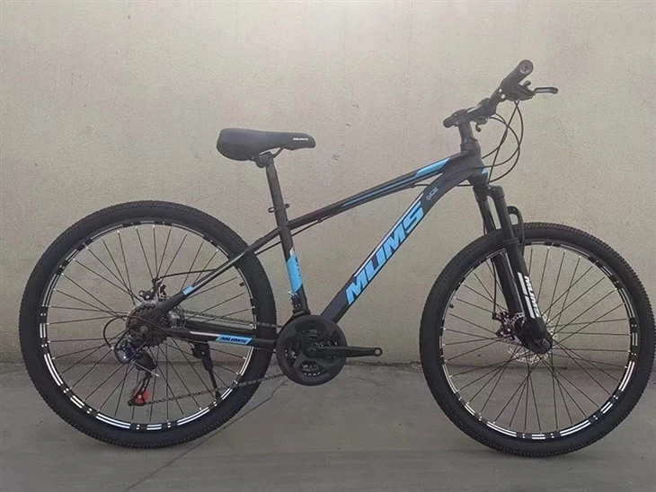 Mens Mountain Bike