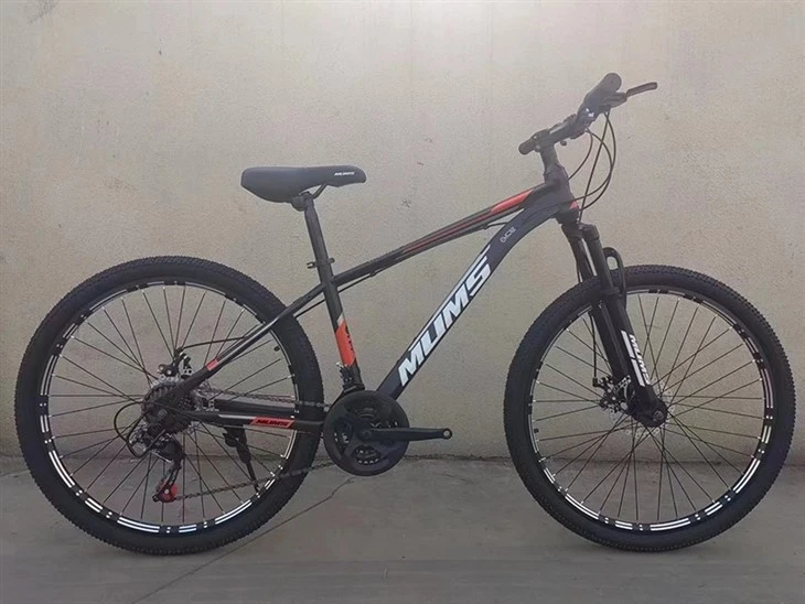 Mens Mountain Bike