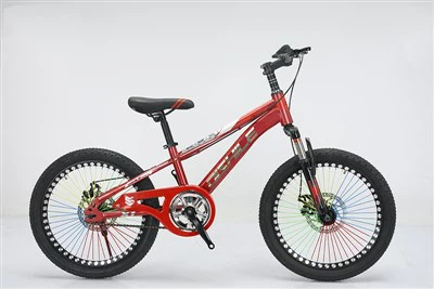20 Inch Children's Bicycle