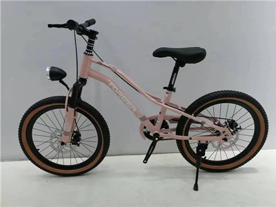 24 Inch Bicycle