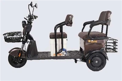 Adult Electric Tricycles