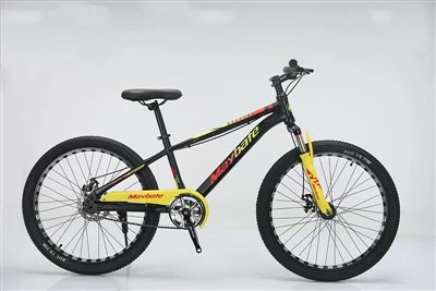 Cross Country Mountain Bike