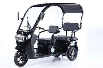 Electric Three Wheel Bikes