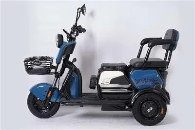 Electric Trike For Adults