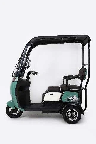 Electric Trike