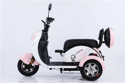 Electric Trikes For Seniors