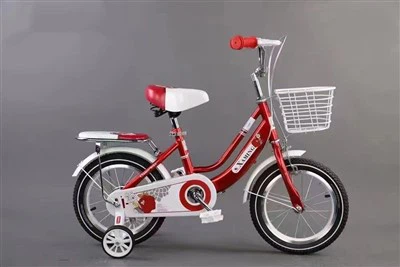 Stylish Girls Bicycle