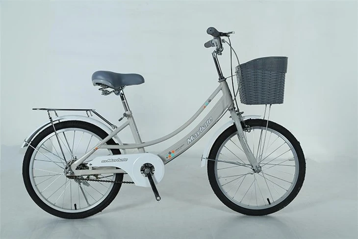 Student Children Bike