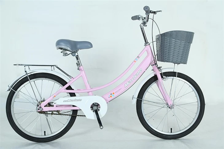Student Children Bike